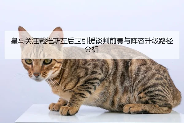 皇马关注戴维斯左后卫引援谈判前景与阵容升级路径分析